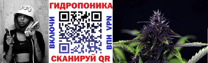 LSD-25 Нерчинск