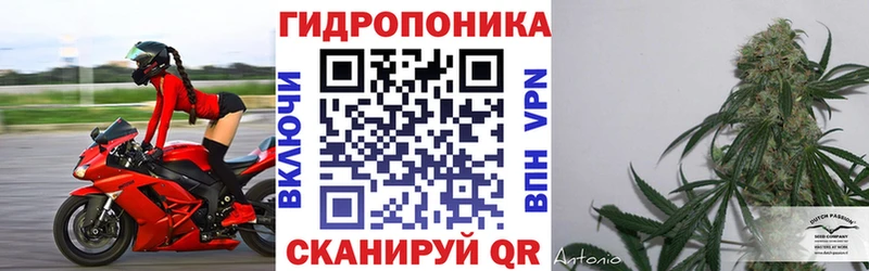 как найти закладки Нерчинск Бошки Шишки Bruce Banner